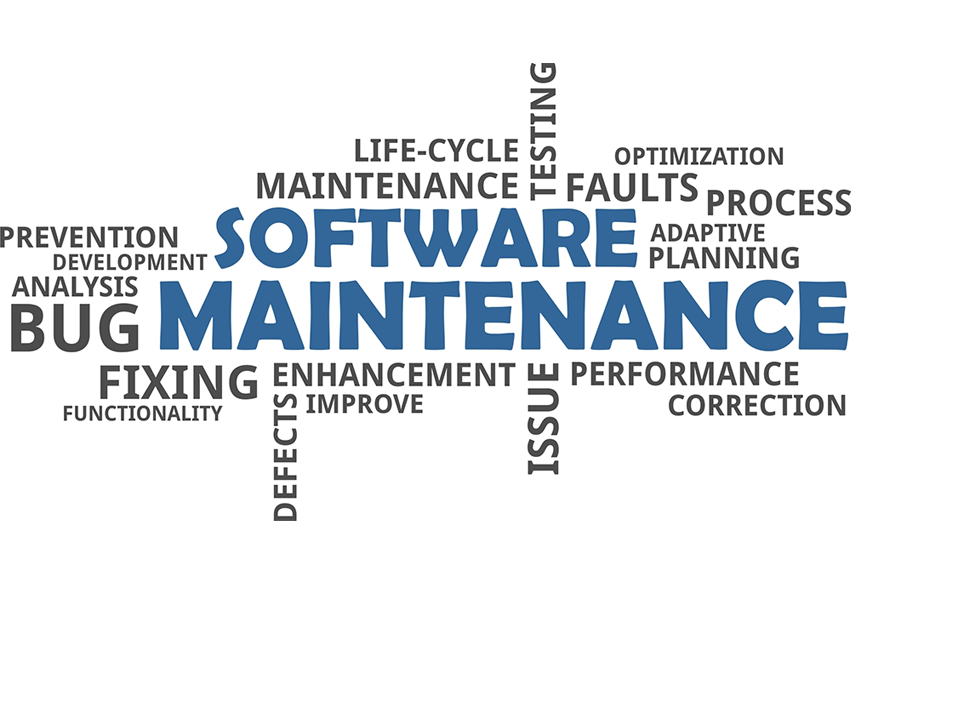 Software Maintenance Service